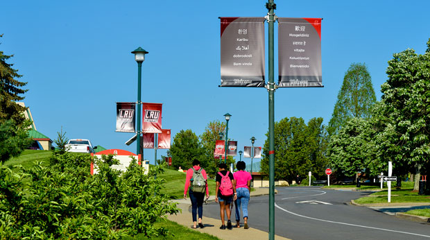 La Roche University